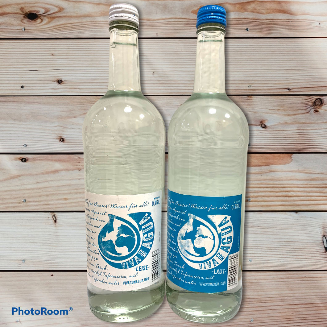 Viva Con Aqua Gastro 12x0,75l